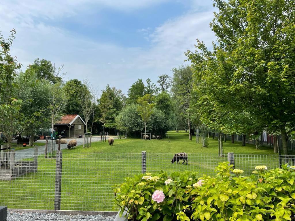 Flora'S B&B Landsmeer Ngoại thất bức ảnh